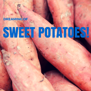 Dreaming of Sweet Potatoes