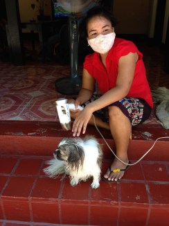 Luang Prabang Strolling Scenes