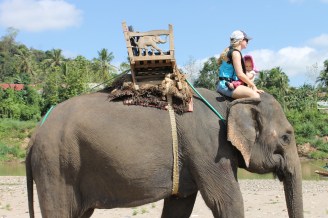 Elephant Neck Luang Prabang