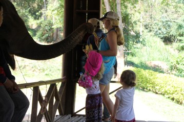 Elephant Trunk Luang Prabang