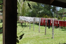 Ok Pop Tot Silk Drying