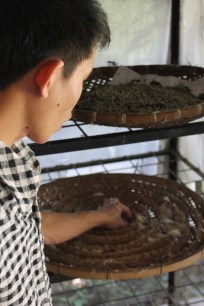 Ok Pop Tot Silk Cocoons