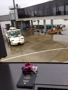 Thai Airways Orchid in Narita